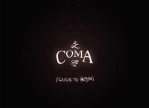 3.Coma